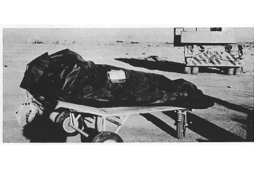 Pentagon begins publishing new files on UFOs