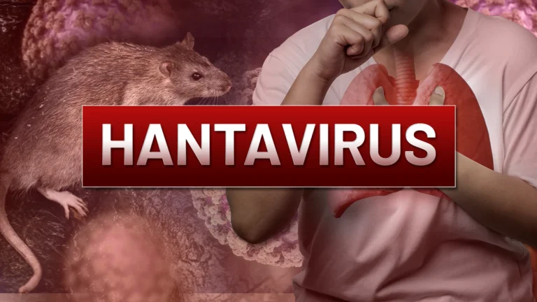 OBS Director Hantavirus is no other COVID, its risk remains low