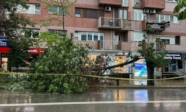 Vahvat tuulet, kansalaiset kutsuvat kuntia: Ole varovainen kävellessäsi puistoissa ja pysäköidessäsi puiden lähelle