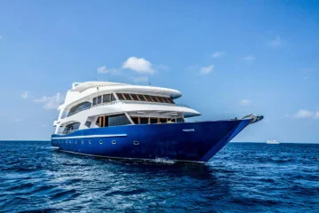 Tragjedi në Maldive, mbyten pesë turistë italianë