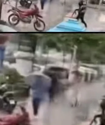 自動ハンド、カムズのシルバージャック (VIDEO)