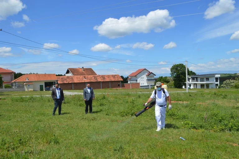 Malisha începe lupta clopot, zone densect unde pot exista paraziți