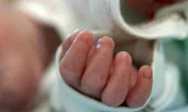 3月に増加したコソボの出生数、リースと離婚の減少