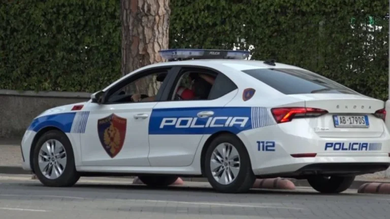 Lezha accident fatal, detaliu de poliție