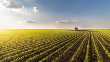 Mbetjet e pesticideve në ushqim, ja çka tregojnë të dhënat e fundit të publikuar nga EFSA