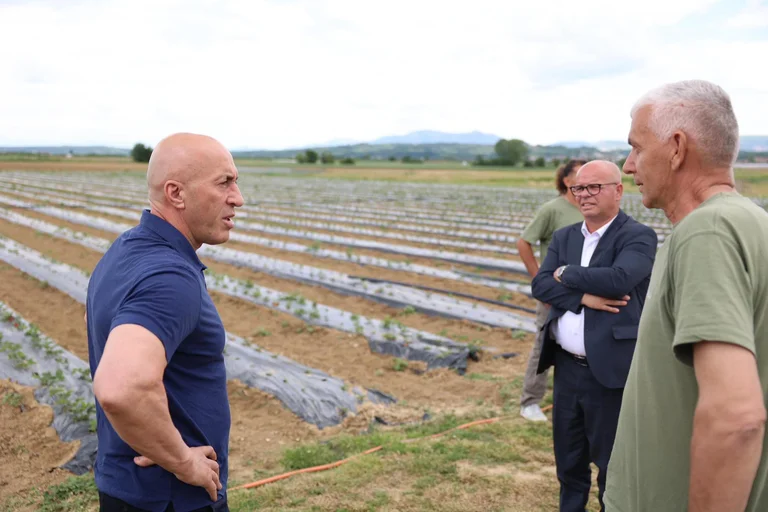 Haradinaj: Ardian Gjinin hallituksessa maanviljelijät ovat huomion ja institutionaalisen tuen keskipisteessä