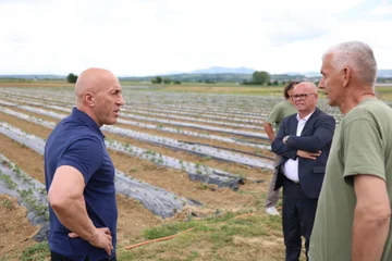 Haradinaj: Në qeverisjen e Ardian Gjinit, fermerët do të jenë në qendër të vëmendjes dhe mbështetjes institucionale