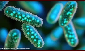 Immunity as a Weapons Against Infections