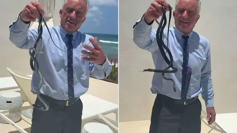 Viral video shows Robert F. Kennedy Jr. Catching snakes with hands