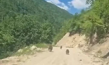 Ariu me të vegjlit shihen rrugës për në bjeshkët e Deçanit