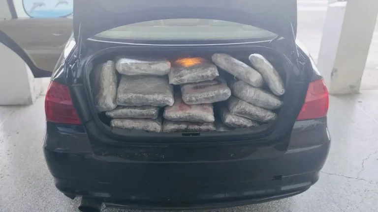 Arrestohet një shtetas turk në kufirin Greqi-Shqipëri, policia sekuestron mbi 100 kilogramë marijuanë
