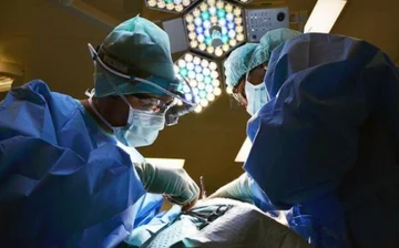 Kina realizon transplantin e parë në botë të mëlçisë dhe veshkave, nga derri te njeriu