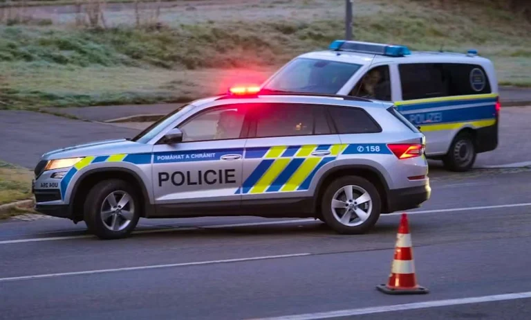 Rast i rëndë në Çeki: Nëna dyshohet se mbyti foshnjën, më pas ua hodhi qenve
