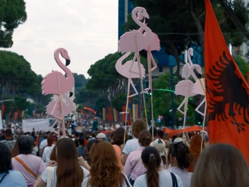 Luftë e ashpër fjalësh për flamingot: Çfarë rrezikon Shqipëria?
