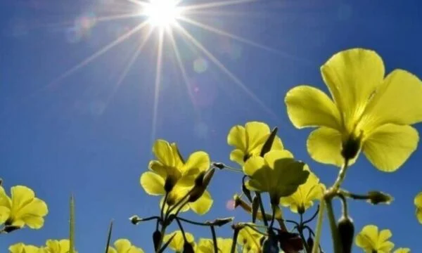 Météo Aujourd'hui et les jours suivants