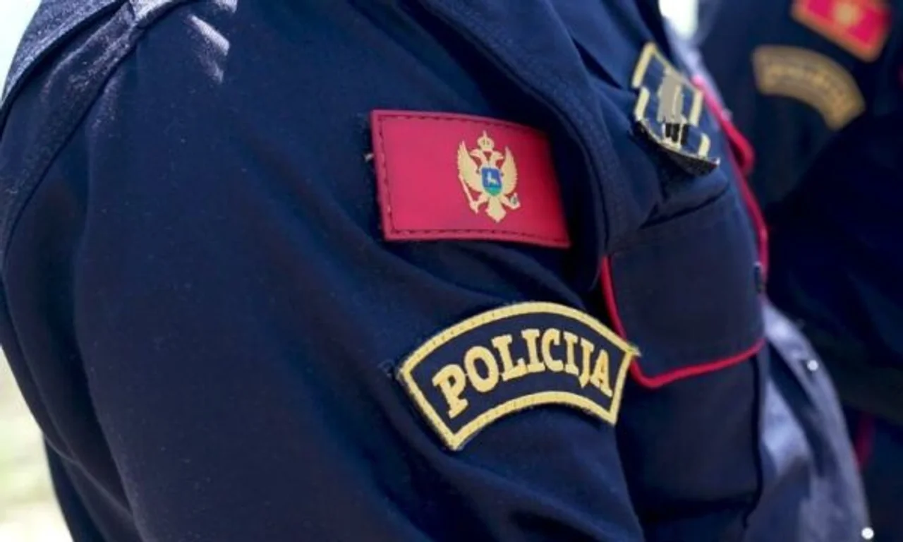 Tivar  Arrestohet kosovari  dyshohet se vodhi mbi 100 mijë euro nga një automjet