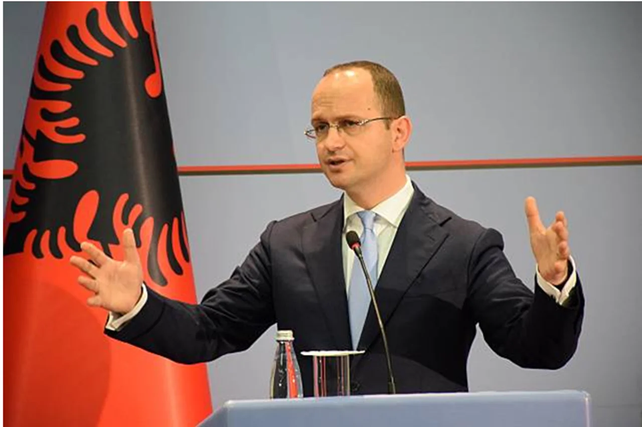 Bushati për protestat në Tiranë  Shqipëria e Re kapitull i pashmangshëm që duhet përqafuar