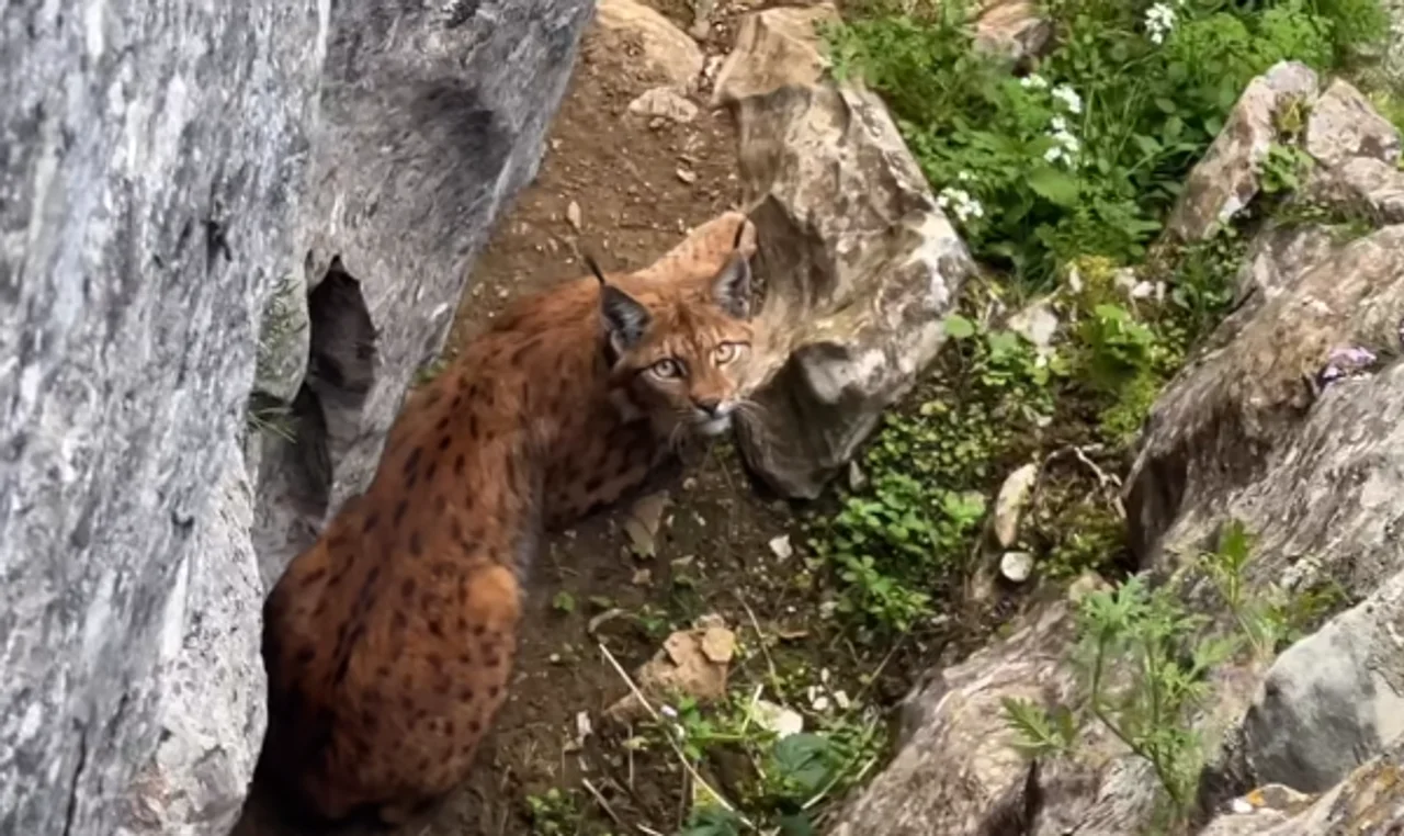 Rrëqebulli ballkanik kapet nga objektivi i fotografëve  VIDEO 