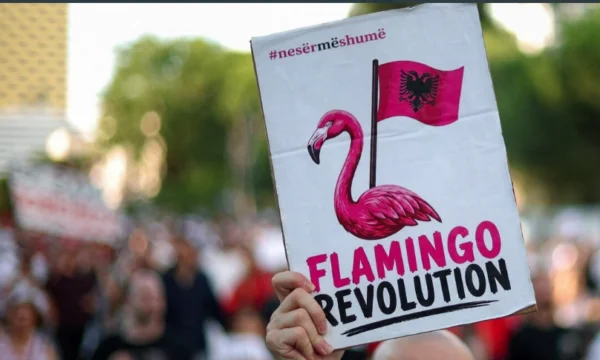 “Revolucioni i Flamingove”, Shqipëria po heton përfshirjen e Iranit në protesta