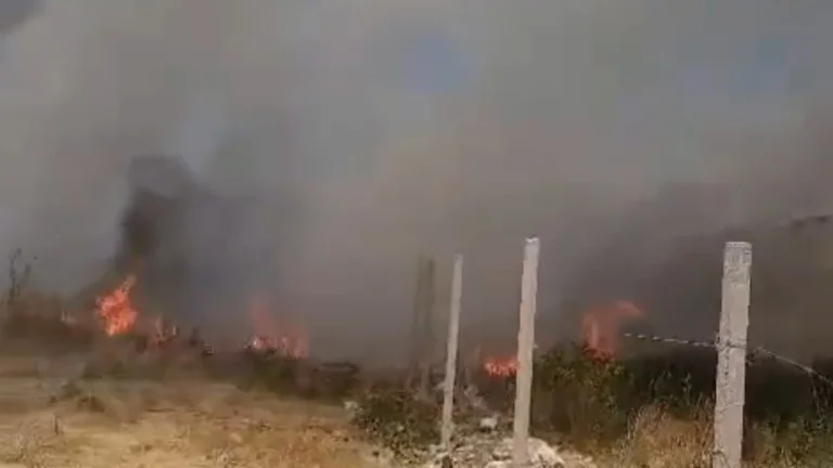 Zjarri përfshin periferinë e Vlorës, flakët rrezikojnë banesat