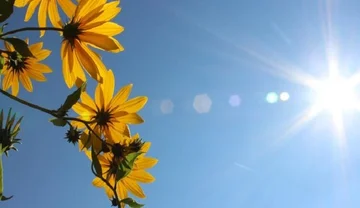 Oggi il giorno più caldo della settimana - temperature fino a 38 gradi