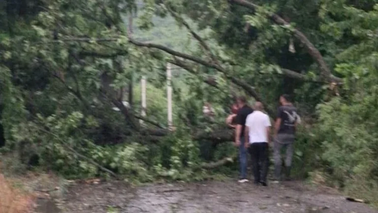 Moti i ligë shkakton dëme në Gjakovë, rrëzohen drunj dhe dëmtohen shtylla elektrike në Gërgoc e Cërmjan