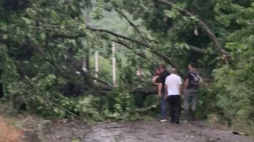 Il maltempo provoca danni in Gjakova, cadute e pali elettrici sono danneggiati a Gringa