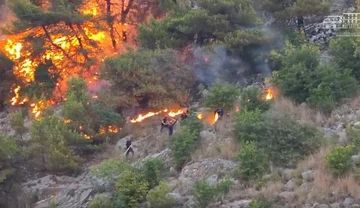 Autoridades en Shengjin lucharon contra el fuego toda la noche, incluyendo las Fuerzas Armadas, sospechosos en la justicia