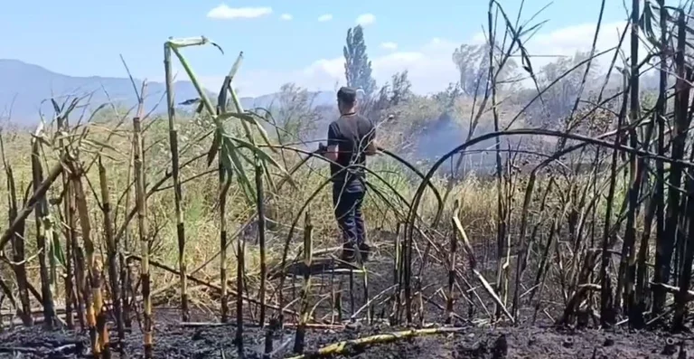 Still firing near the Matt River bed