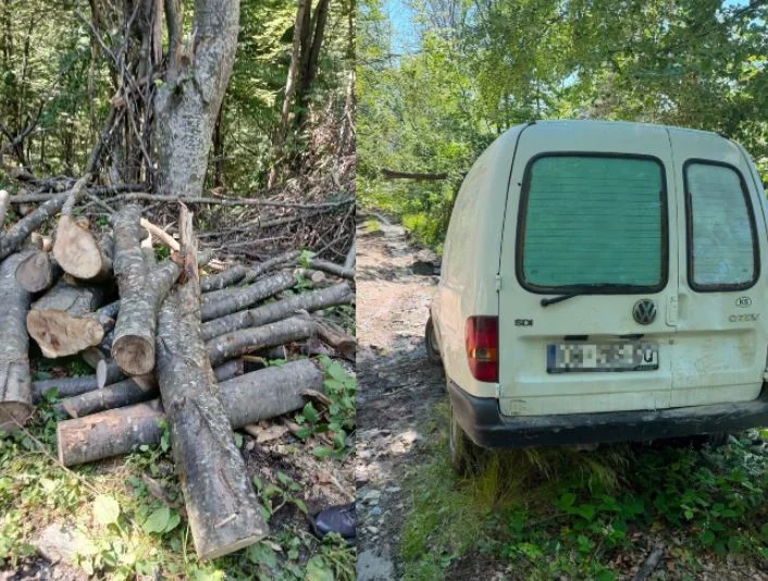 The case of the Kacanik forest robbery, police seize suspect in disarray by cut wood.