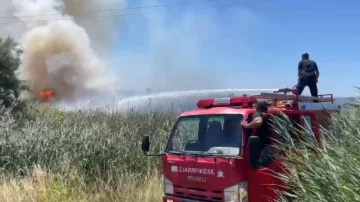 Albania finds no comfort, fire speed spread near Tale Beach