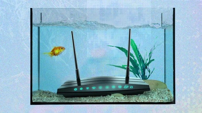 Këto janë gjërat më të çuditshme që prishin Wi-Fi-në