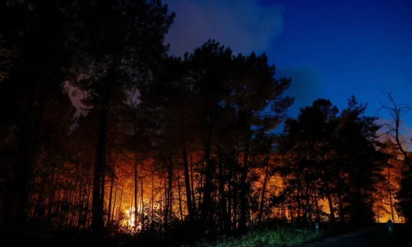 Fire includes forest in southern Paris, as the deadly heat wave spreads across Europe