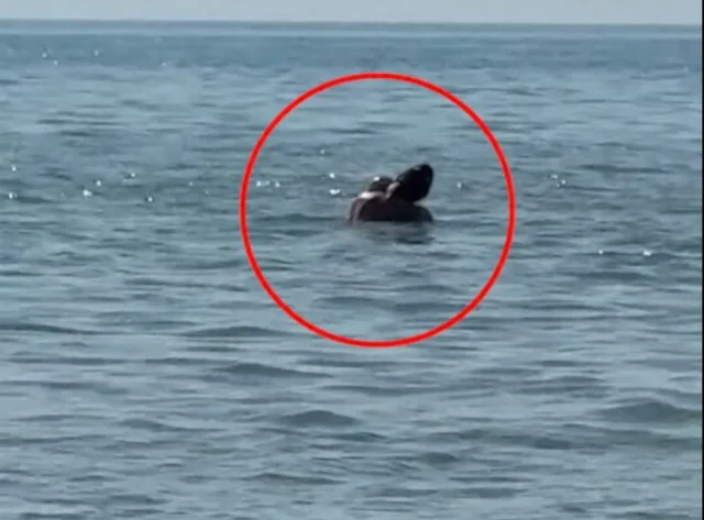 Video (+18): Couples are filmed having sex on Durres Beach