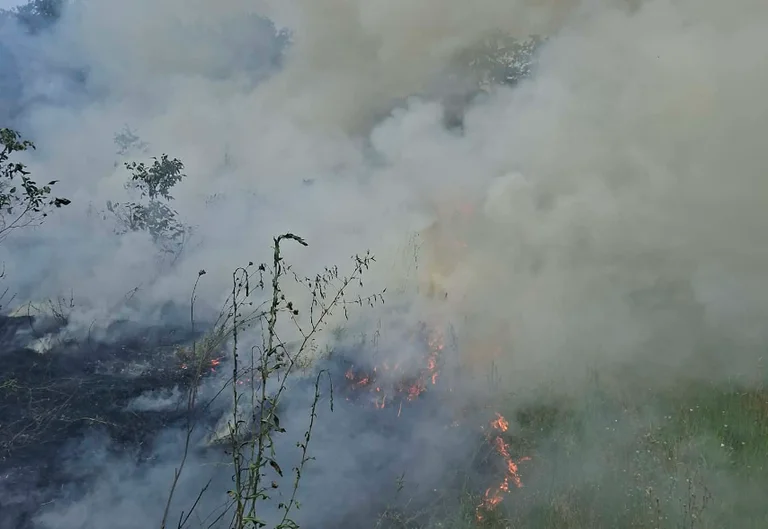 Feu au Lupc de Podujevo, flammes couvrent sur deux hectares de terre