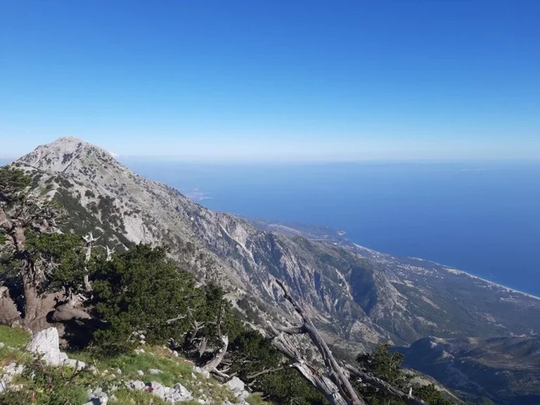 two German tourists are rescued