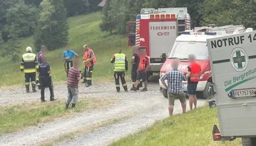 E rëndë në Austri, babai dhe vajza 6-vjeçare humbin jetën pas përmbysjes së traktorit