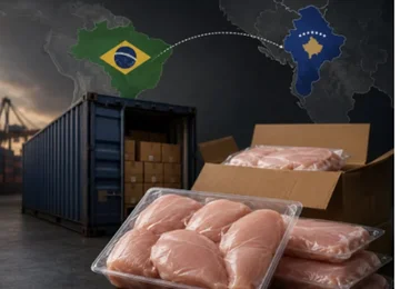 Kosovarët pulëngrënës të mëdhënj, vetëm nga Brazili gjatë këtij viti u importuan miliona tonelata mish pule