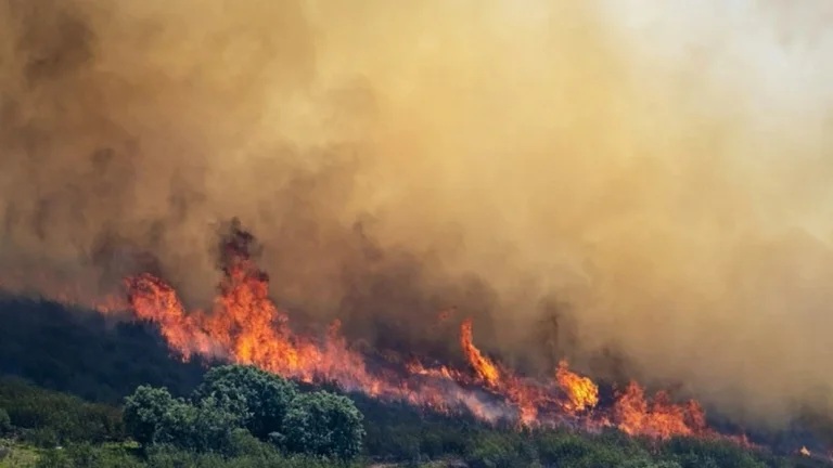 Fuochi anche in Francia - Dramatic Images Pubblicato