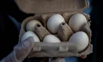 ShBA tërheq nga tregu rreth 19.2 milionë vezë për shkak të rrezikut nga Salmonella