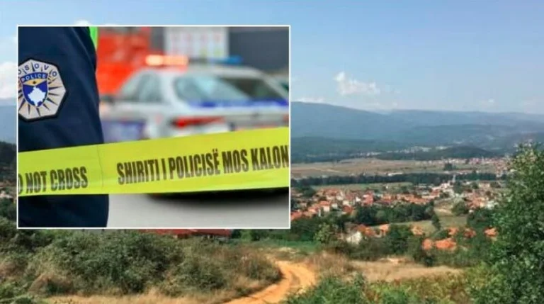 Vrasja në Strellc, Policia publikon fotografinë e armës dhe fishekëve që u sekuestruan
