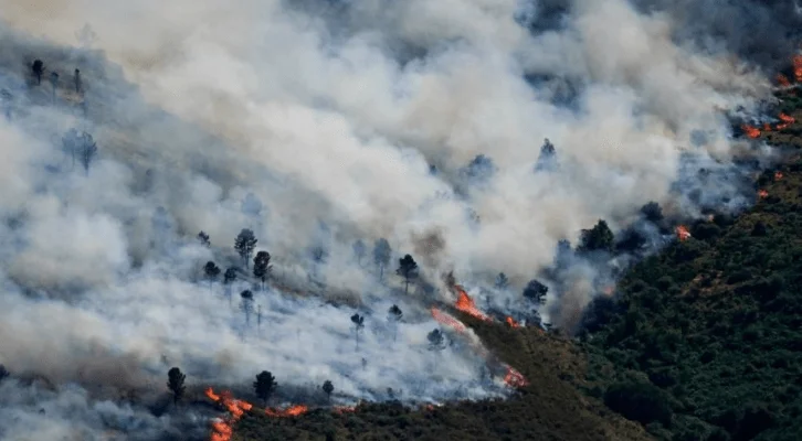 Spain declares a state of emergency, fires force the evacuation of 10,000