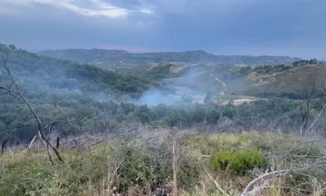 Zjarr në kodrat e Peshtanit, zjarrfikësit shmangin përhapjen
