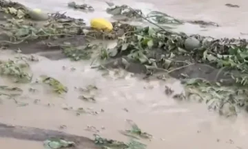 La inundación en Rahovec causa grandes daños a la agricultura
