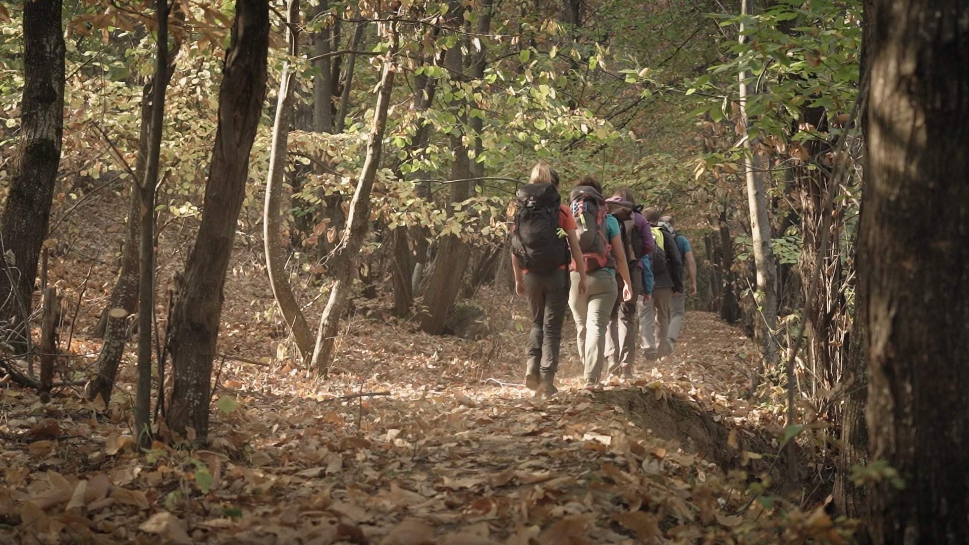 Malet e Sharrit destinacion i preferuar për turizëm malor