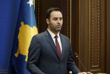 Konjufca paditë Natyra Kuçin e PSD-së për shpifje: Dëmshpërblimi i kësaj padie do të shkojë si donacion