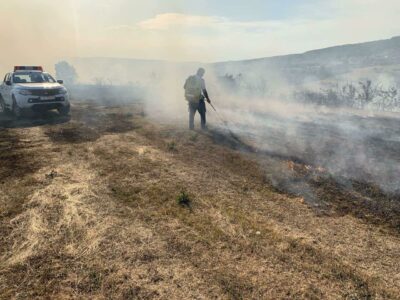 Përfshihen nga zjarret disa fusha dhe male në Suharekë