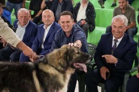 Abdixhiku në Dragash, i ndan çmimin qenit fitues në ekspozitën tradicionale të Qenit Ilir të Sharrit