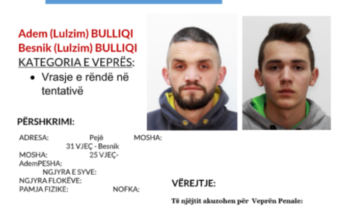 Ishin në kërkim nga policia për vrasje në tentativë, arrestohen dy vëllezërit Bulliqi nga Peja