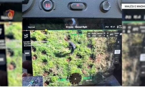 U filmua me dron teksa kujdesej për kanabisin, arrestohet 68-vjeçari në Malësi të Madhe në Shqipëri